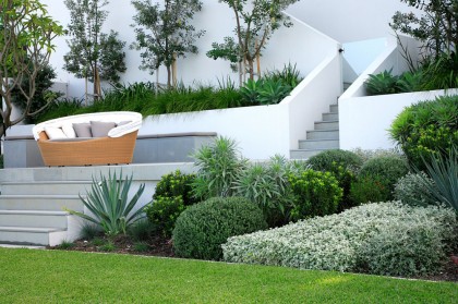 Your Backyard Landscaping Strategy: Manicured Or Untamed? item-thumbnail
