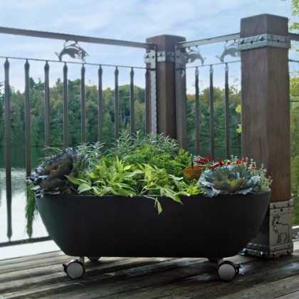 Garden365 by Eserro item-thumbnail