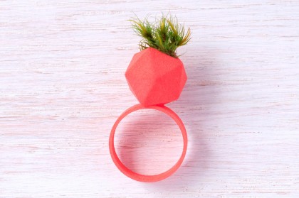 3D Printed Wearable Planter Ring item-thumbnail