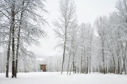 Delta Shelter by Tom Kundig item-thumbnail