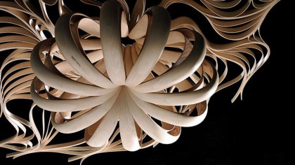 Bent Wood Objects by Joseph Walsh Studio Twist and Spiral into Extraordinary Forms item-thumbnail