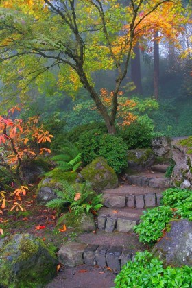 Design Ideas,Garden Paths item-thumbnail