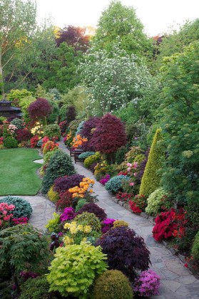 Late Spring Backyard Garden item-thumbnail