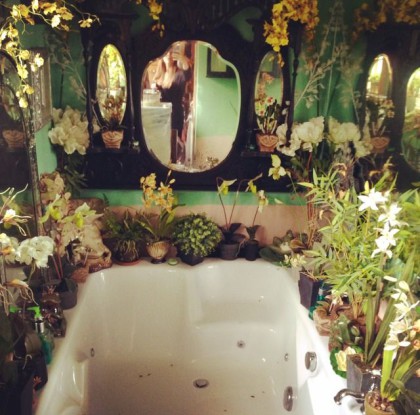Bathroom garden Ideas, Interior, Bathroom Plant item-thumbnail