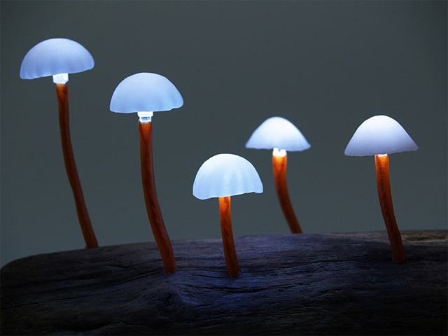 LED Mushroom Lights