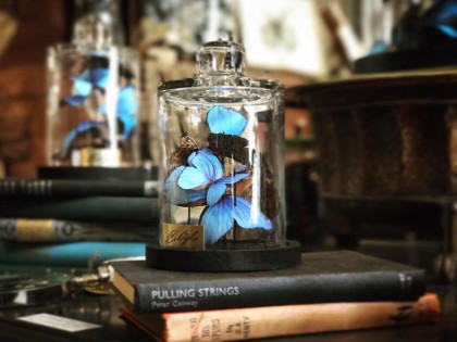 Paper Butterflies item-thumbnail