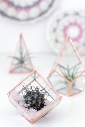 DIY Glass Terrariums item-thumbnail